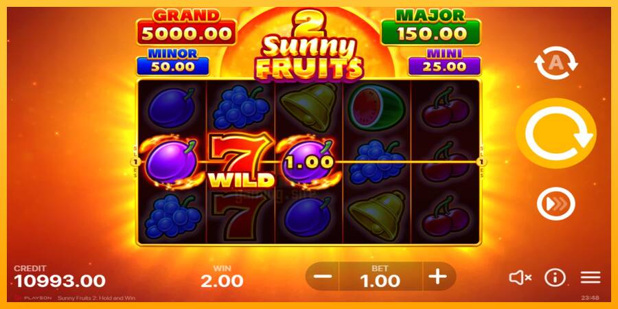 Sunny Fruits 2: Hold and Win gaming machine for money, picture 3