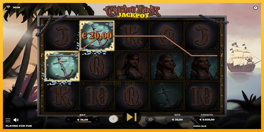 Calico Jack Jackpot gaming machine for money, picture 2