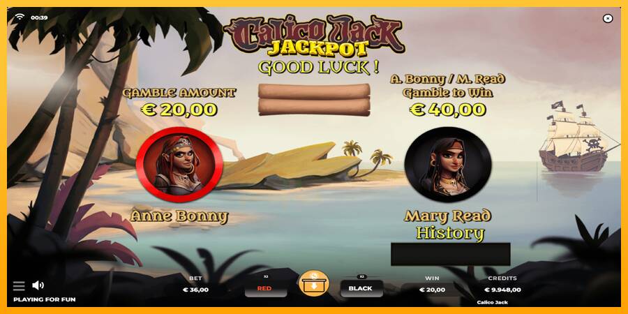 Calico Jack Jackpot gaming machine for money, picture 3