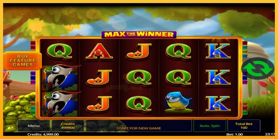 Max The Winner gaming machine for money, picture 2