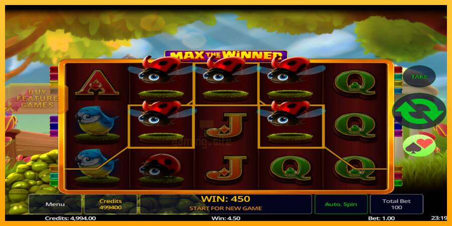 Max The Winner gaming machine for money, picture 3