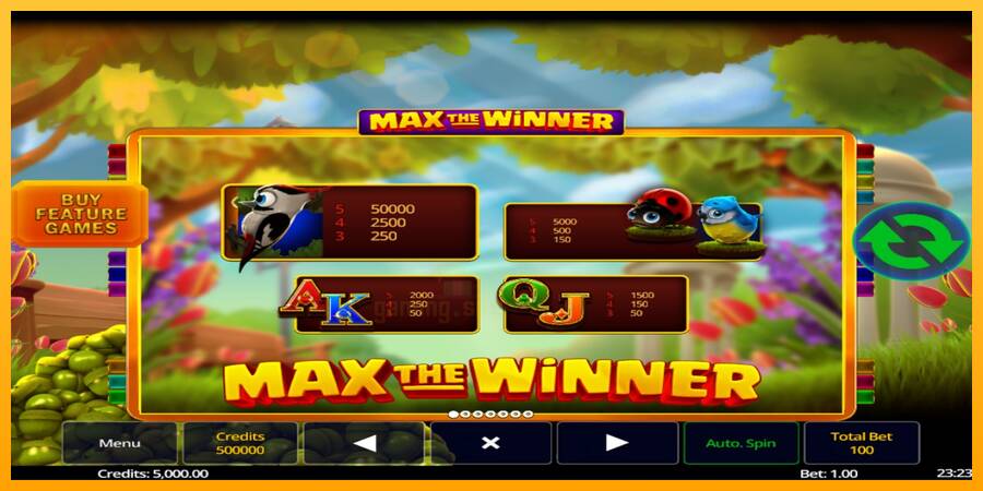 Max The Winner gaming machine for money, picture 5