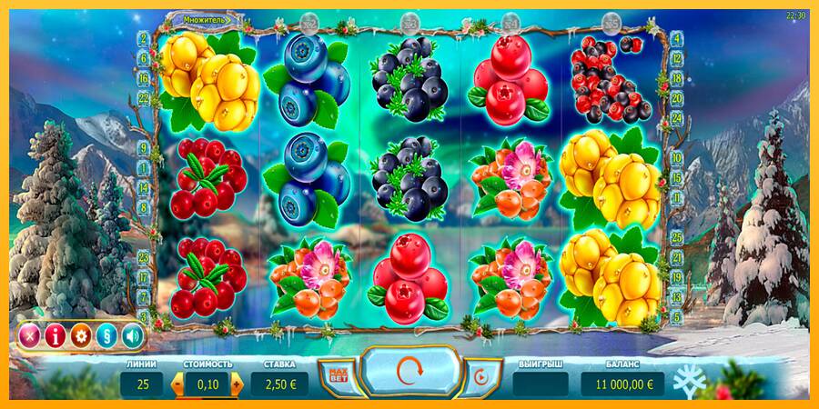 Winterberries gaming machine for money, picture 1