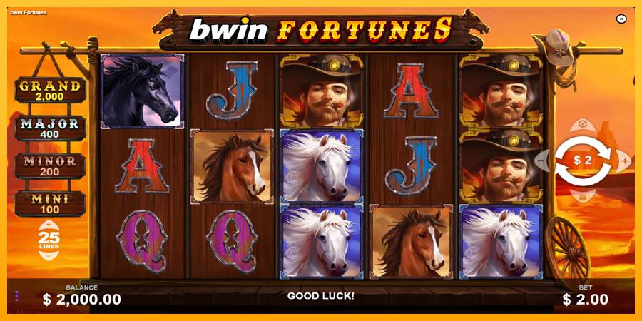 Bwin Fortunes gaming machine for money, picture 2