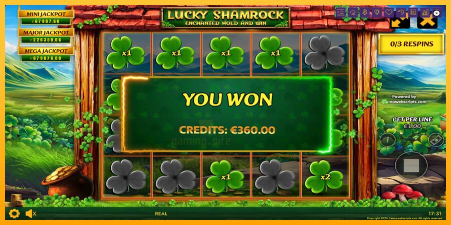 Lucky Shamrock - Enchanted Hold and Win gaming machine for money, picture 4