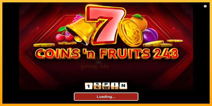 Coinsn Fruits 243 gaming machine for money, picture 1