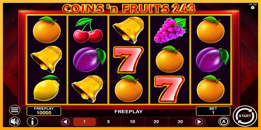 Coinsn Fruits 243 gaming machine for money, picture 2