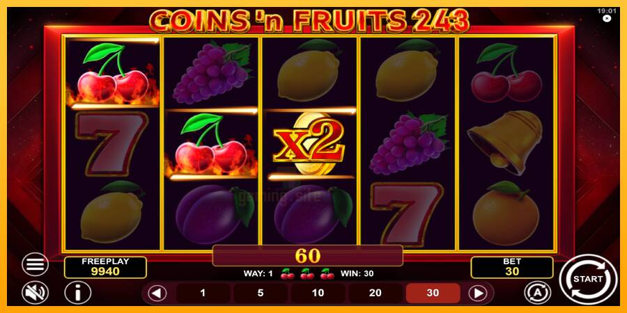 Coinsn Fruits 243 gaming machine for money, picture 3