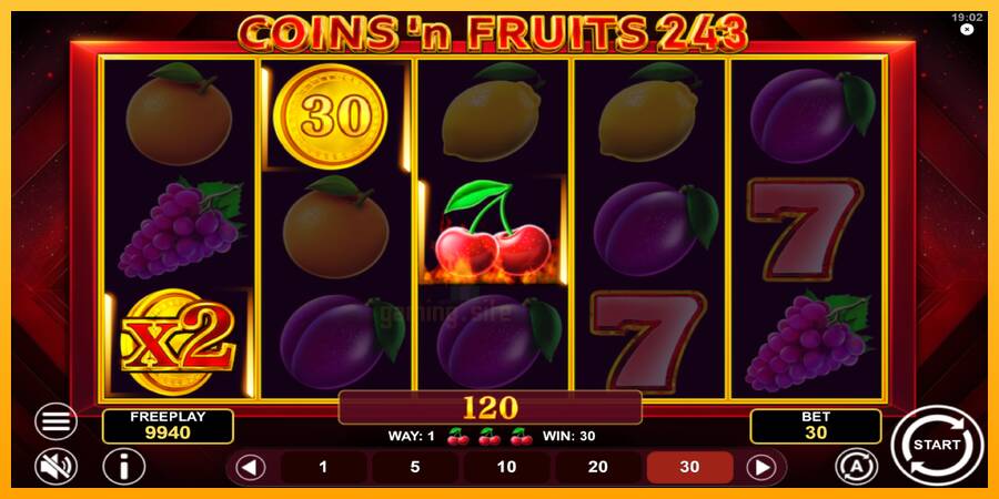 Coinsn Fruits 243 gaming machine for money, picture 4