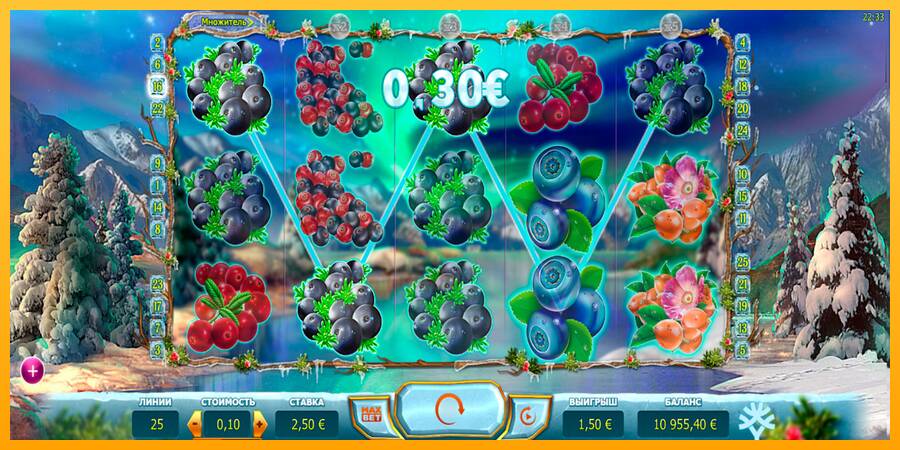 Winterberries gaming machine for money, picture 4