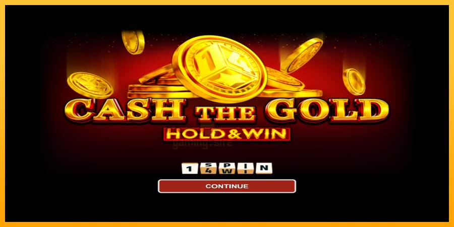 Cash The Gold Hold & Win gaming machine for money, picture 1