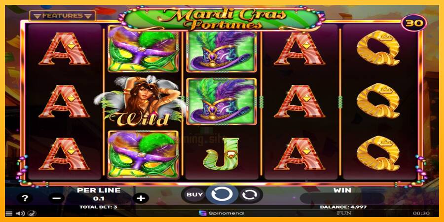 Mardi Gras Fortunes gaming machine for money, picture 2