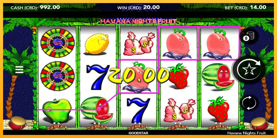 Havana Nights Fruit gaming machine for money, picture 2