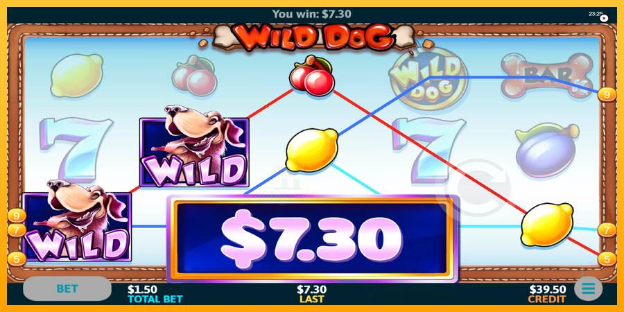 Wild Dog gaming machine for money, picture 2