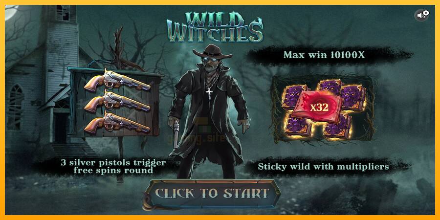 Wild Witches gaming machine for money, picture 1