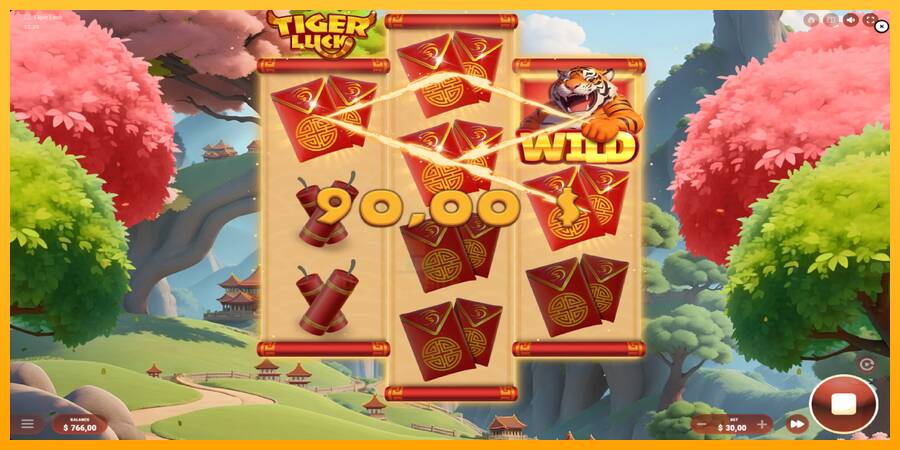 Tiger Luck gaming machine for money, picture 3