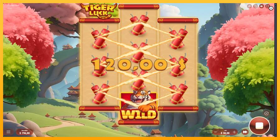 Tiger Luck gaming machine for money, picture 4