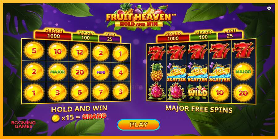 Fruit Heaven Hold and Win gaming machine for money, picture 1