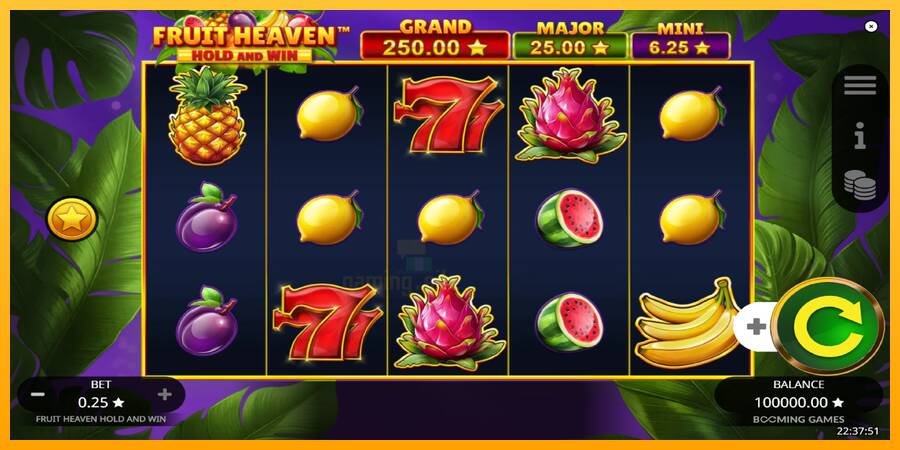 Fruit Heaven Hold and Win gaming machine for money, picture 2