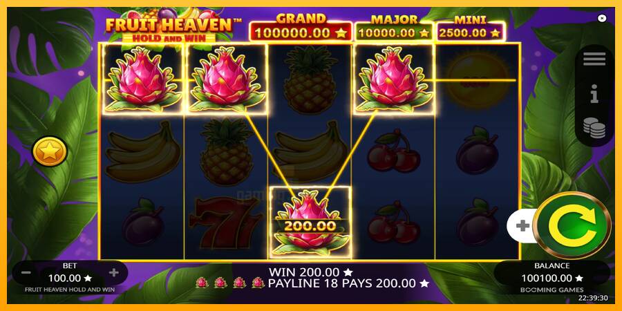 Fruit Heaven Hold and Win gaming machine for money, picture 3