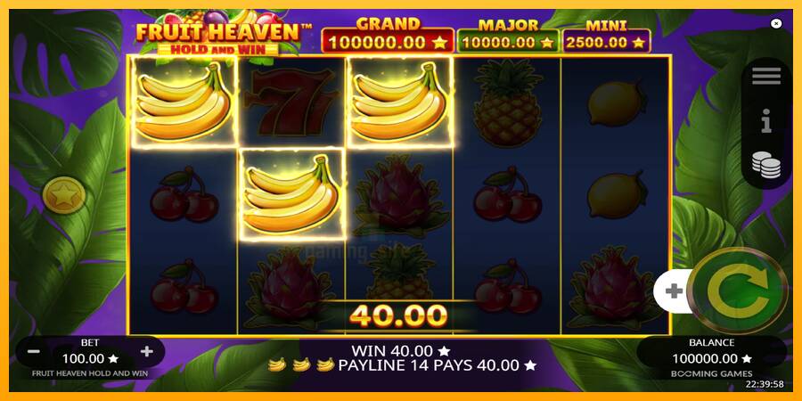 Fruit Heaven Hold and Win gaming machine for money, picture 4