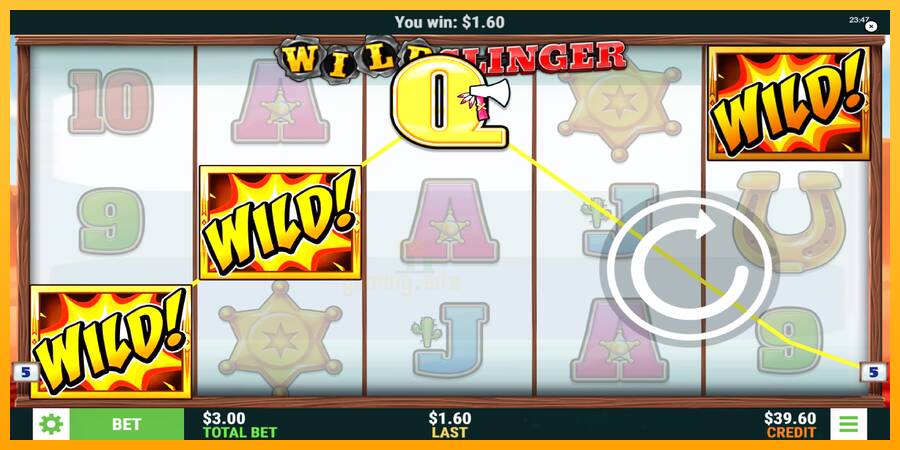 Wild Slinger gaming machine for money, picture 3