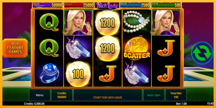 Rich Lady Deluxe gaming machine for money, picture 2