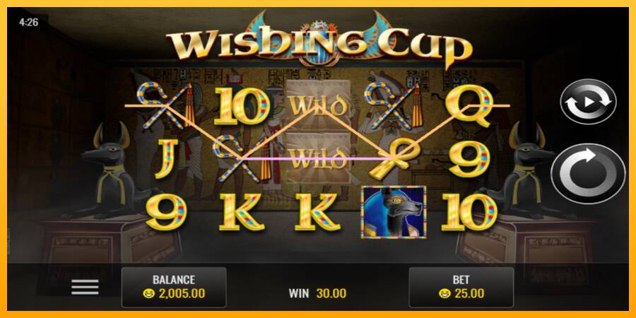 Wishing Cup gaming machine for money, picture 2