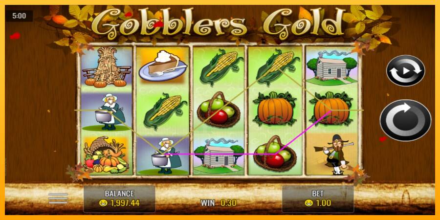 Gobblers Gold gaming machine for money, picture 2