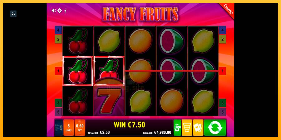 Fancy Fruits gaming machine for money, picture 2