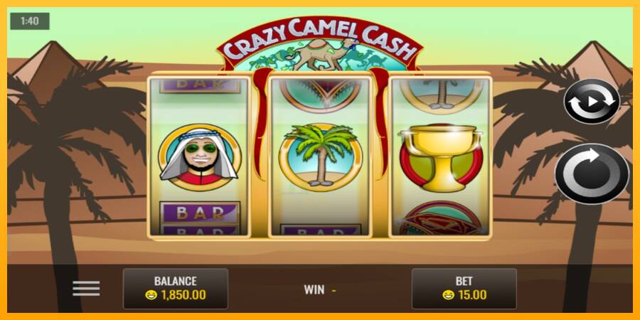 Crazy Camel Cash gaming machine for money, picture 2