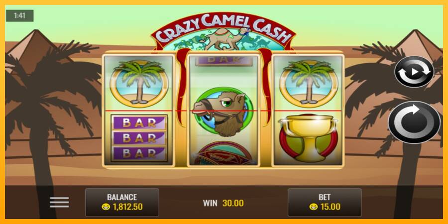 Crazy Camel Cash gaming machine for money, picture 3