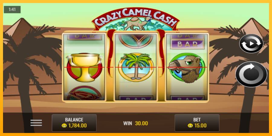 Crazy Camel Cash gaming machine for money, picture 4