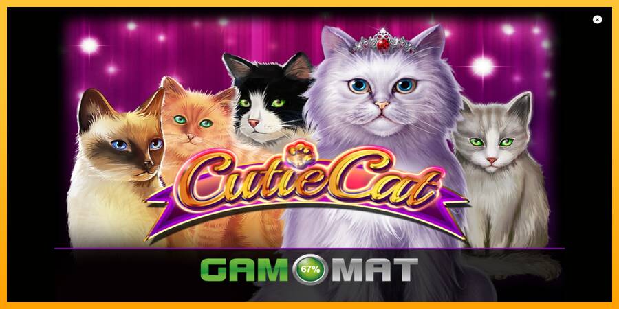 Cutie Cat gaming machine for money, picture 1