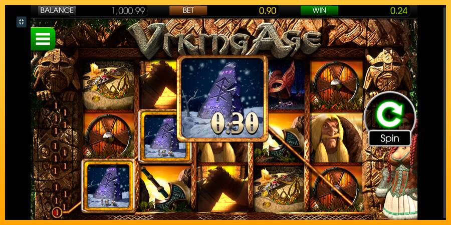 Viking Age gaming machine for money, picture 3