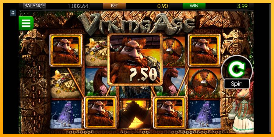 Viking Age gaming machine for money, picture 5