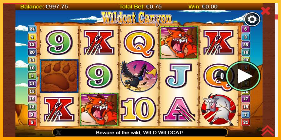 Wildcat Canyon gaming machine for money, picture 1