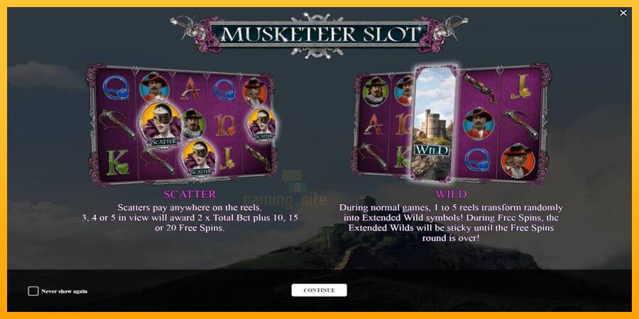 Musketeer Slot gaming machine for money, picture 1