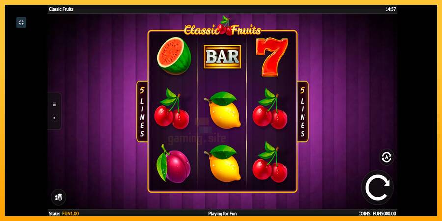 Classic Fruit gaming machine for money, picture 1