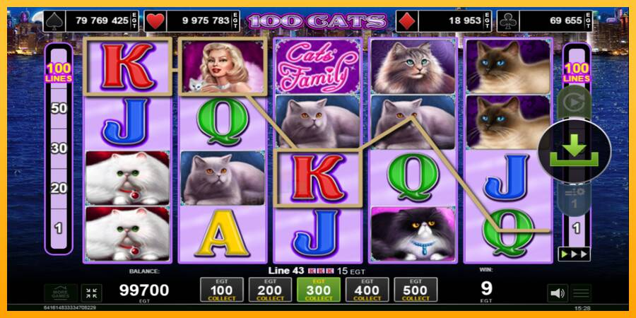 100 Cats gaming machine for money, picture 2