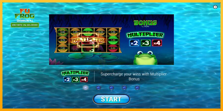 Fu Frog Garden gaming machine for money, picture 1