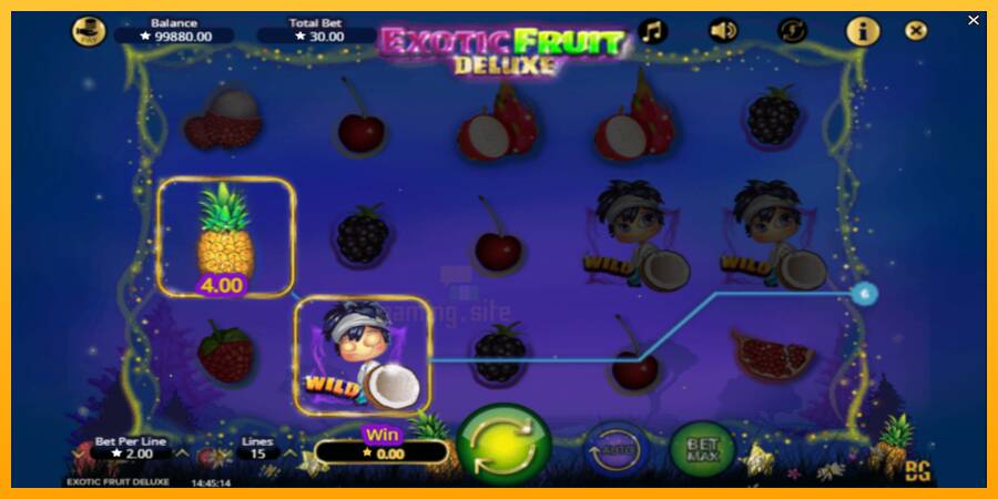 Exotic Fruit Deluxe gaming machine for money, picture 3