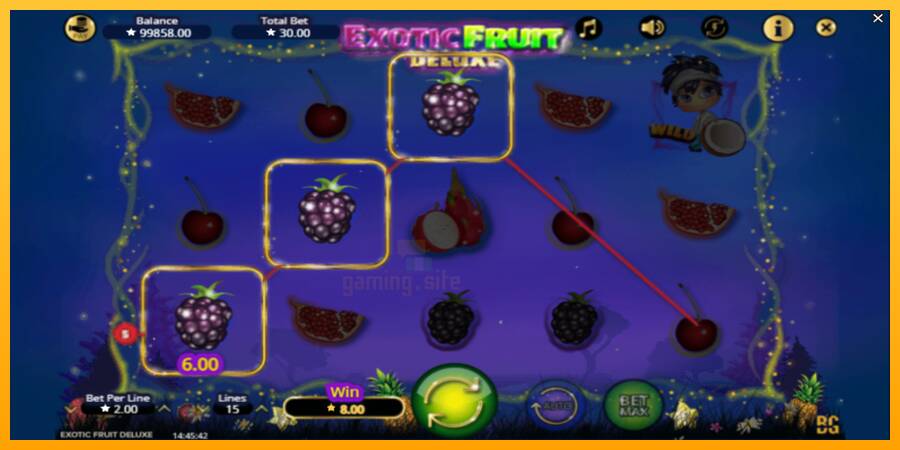 Exotic Fruit Deluxe gaming machine for money, picture 4