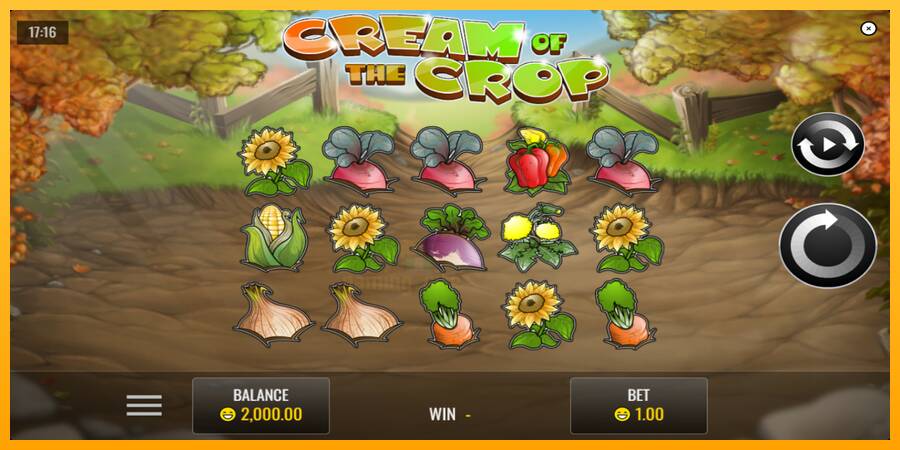 Cream of the Crop gaming machine for money, picture 2