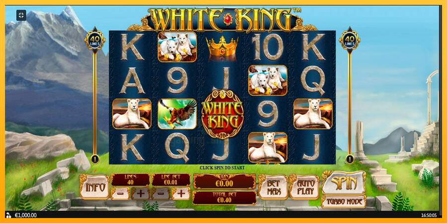 White King gaming machine for money, picture 1