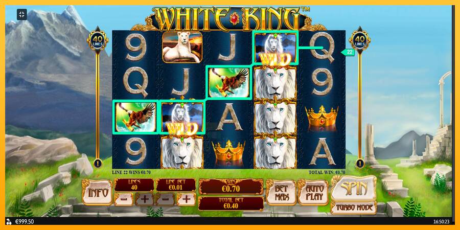 White King gaming machine for money, picture 2