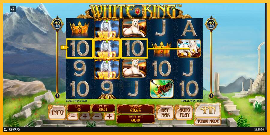 White King gaming machine for money, picture 3