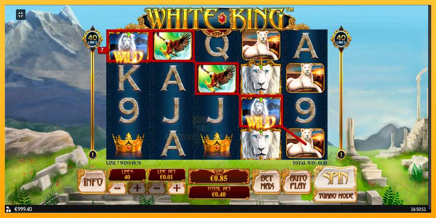 White King gaming machine for money, picture 4