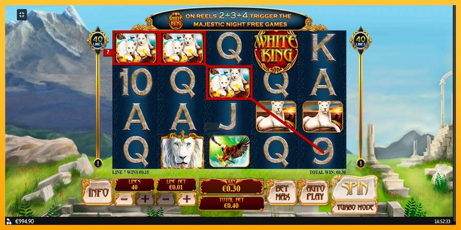 White King gaming machine for money, picture 7