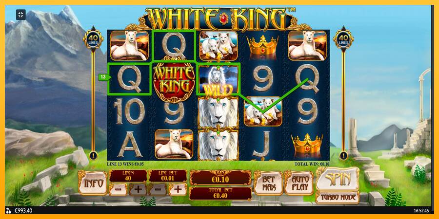 White King gaming machine for money, picture 8